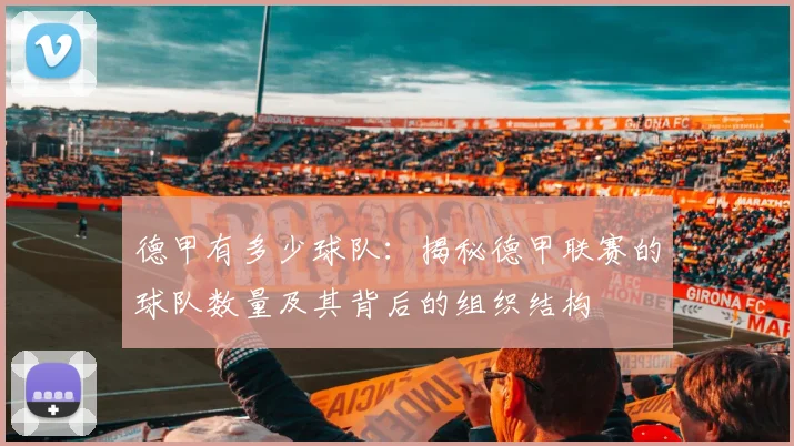 德甲有多少球队：揭秘德甲联赛的球队数量及其背后的组织结构